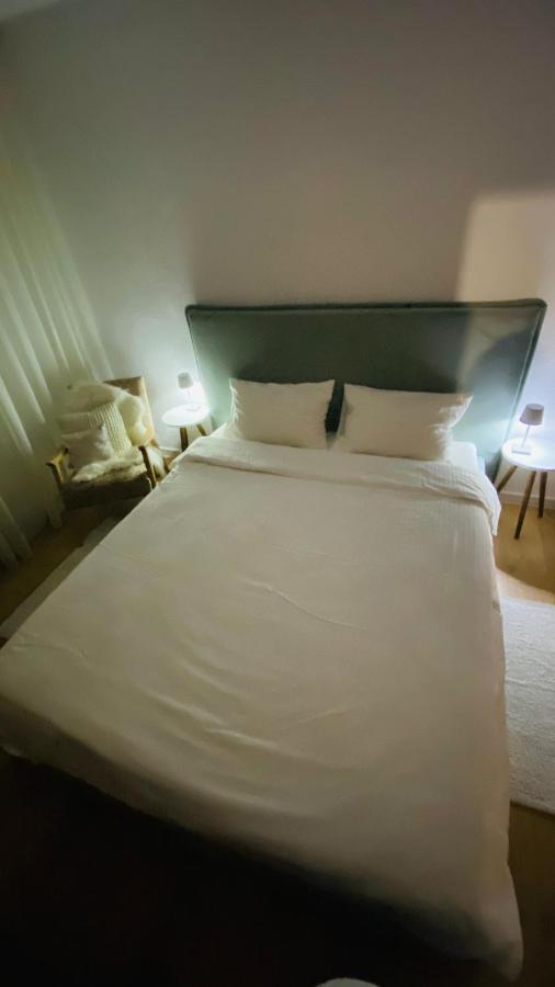 Cozy Apartment シビウ エクステリア 写真